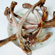 Illustration for article titled Microwaveable Caveman Meat Snacks From Japan